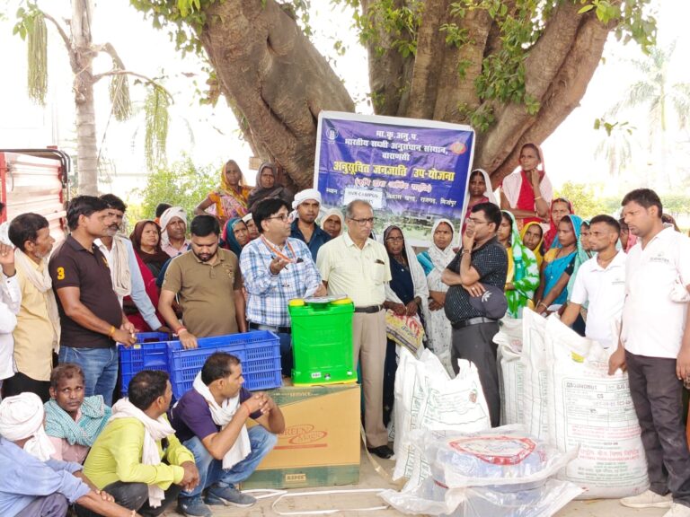 अनुसूचित जाति उप-योजना के अंतर्गत धान एवं मूंगफली का बीज वितरण