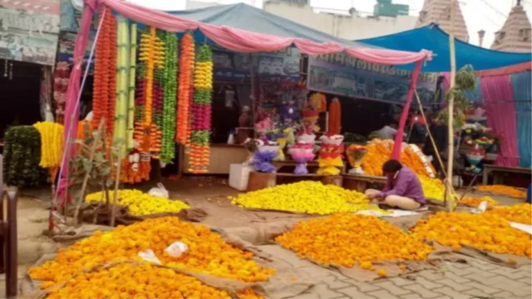 फूल किसानों को योगी सरकार की बड़ी सौगात: मंडी शुल्क से पूरी तरह मुक्ति