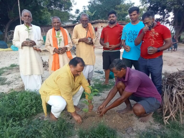 चातुर्मास अभियान के तहत प्रबोधिनी फाउंडेशन ने रोपित किए 51 औषधीय पौधे