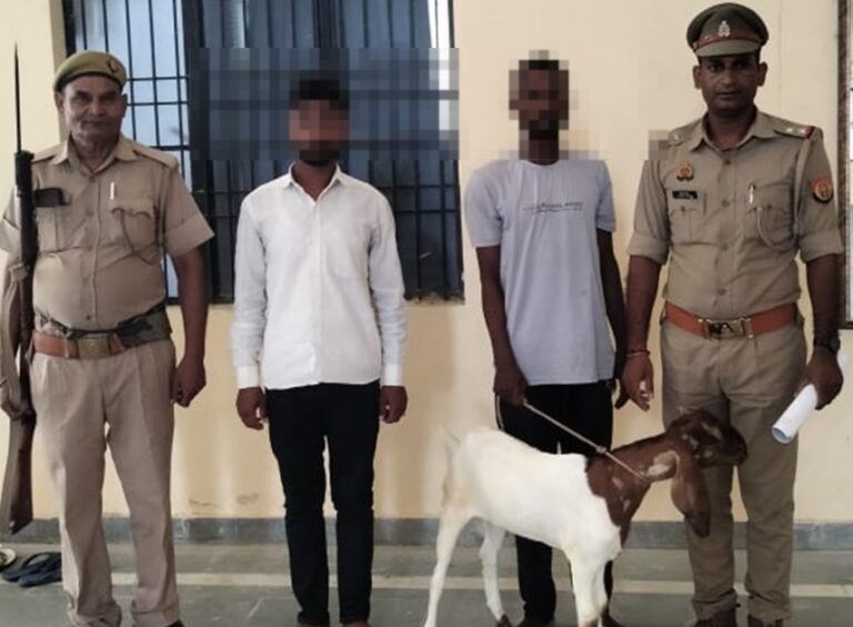 थाना सिन्धोरा पुलिस ने चोरी के बकरे के साथ 02 अभियुक्तों को किया गिरफ्तार