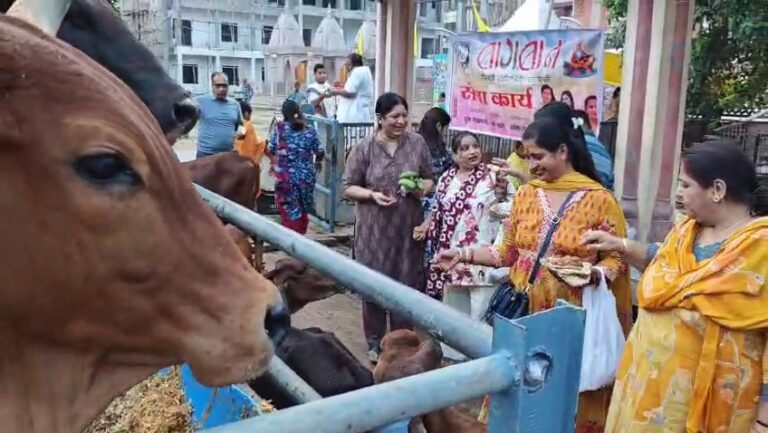 गौ माता सेवा कर मनाया मोदी जी का जन्मदिन