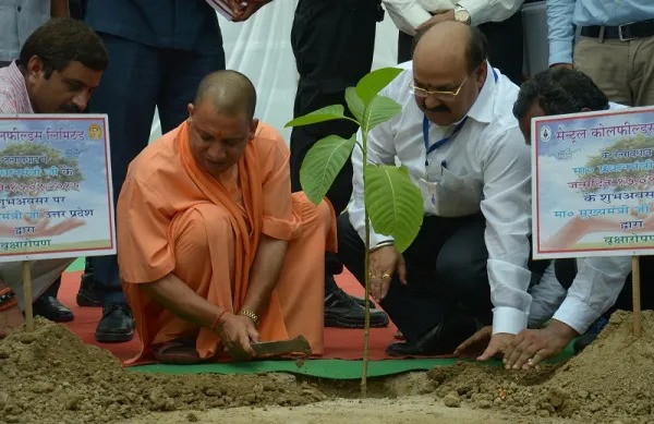 सीएम की मौजूदगी में काशी रचेगी कीर्तिमान, 60 घाटों के स्वरूप में सजेंगे तीन लाख पौधे