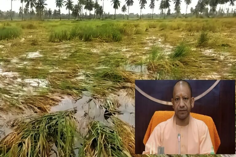 बारिश से फसलों के नुकसान का आकलन कर किसानों को दिलाएं मुआवजा: मुख्यमंत्री