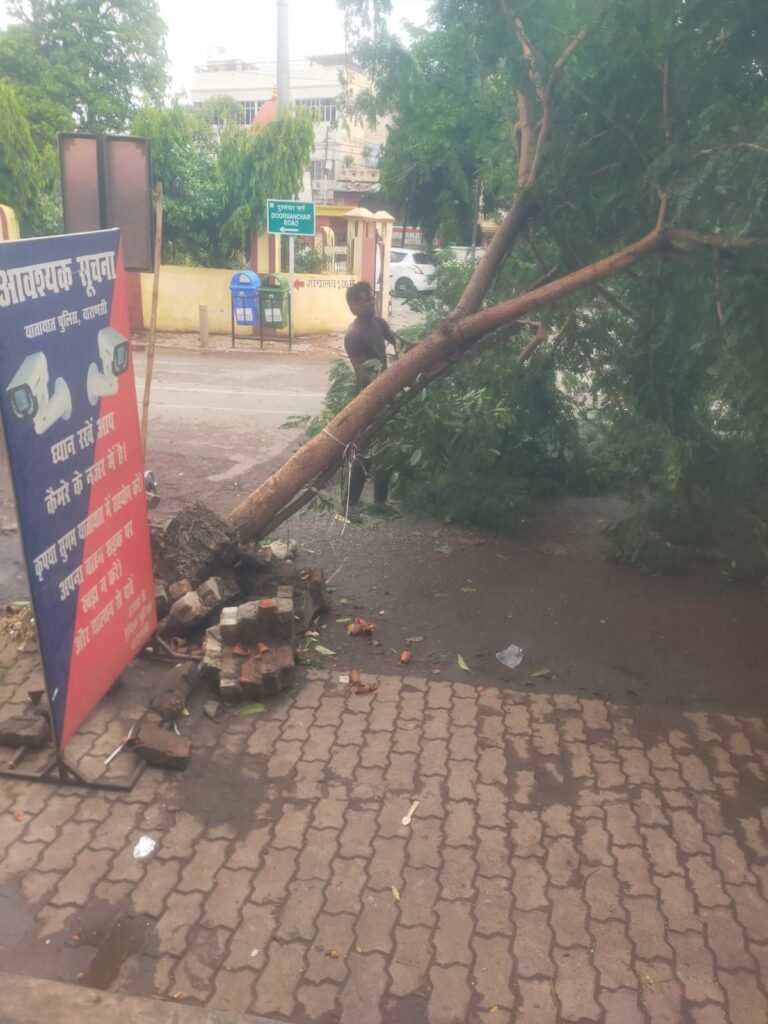 आंधी-पानी से छावनी क्षेत्र में भारी नुकसान, आधा दर्जन पेड़ धराशाई