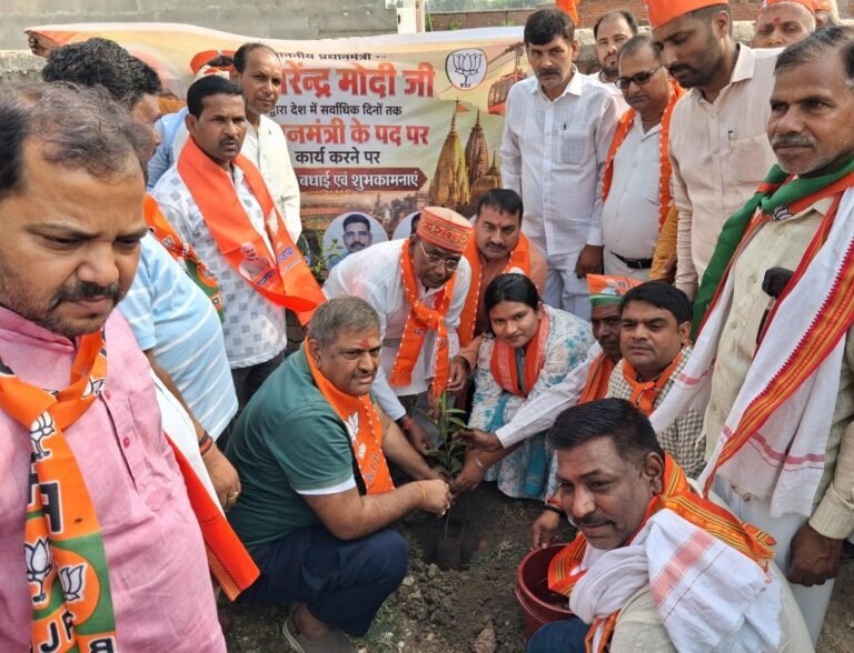 भाजपा कार्यकर्ताओं ने चलाया स्वच्छता अभियान, किया पौधरोपण