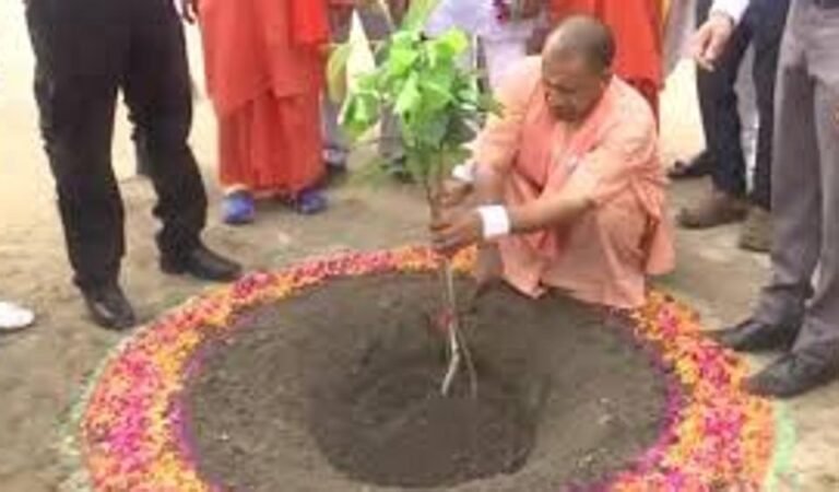 योगी सरकार ने जनसहभागिता से रचा नया इतिहास, एक दिन में रोपे गए 35.27 करोड़ से अधिक पौधे