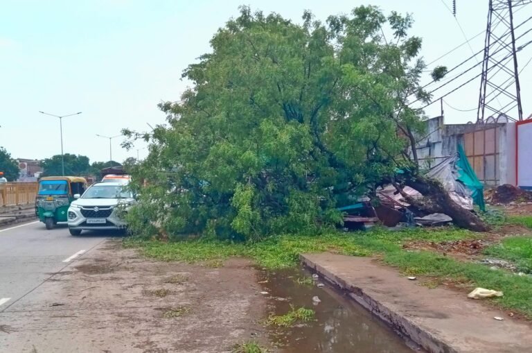 मोहनसराय में वाराणसी प्रयागराज के मुख्य मार्ग पर बारिस से गिरा नीम का पेड़