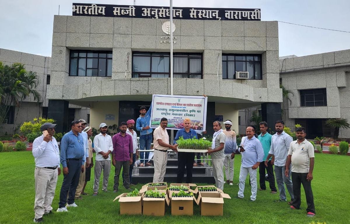 आईआईवीआर में एकीकृत बागवानी विकास मिशन के अंतर्गत किसानों को वितरण किए गए ग्राफ्टेड बैंगन के पौधे