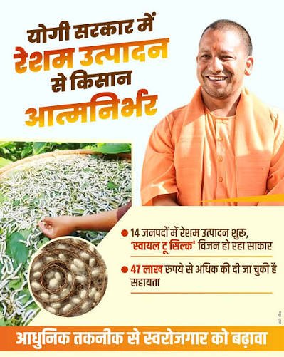 योगी सरकार में रेशम क्षेत्र बना रहा आत्मनिर्भरता और रोजगार का मजबूत आधार