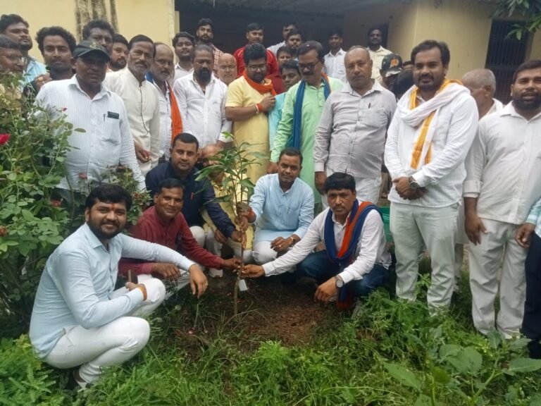 कैबिनेट मंत्री आशीष पटेल के जन्मदिन पर रोहनिया विधायक ने किया पौधारोपण