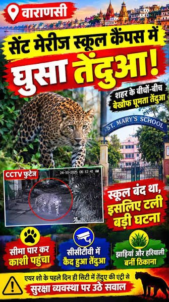 सेंट मेरिज स्कूल में दूसरे दिन भी तेंदुए की तलाश, सर्च ऑपरेशन पर उठाए सवाल!
